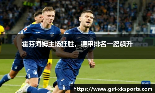 霍芬海姆主场狂胜，德甲排名一路飙升